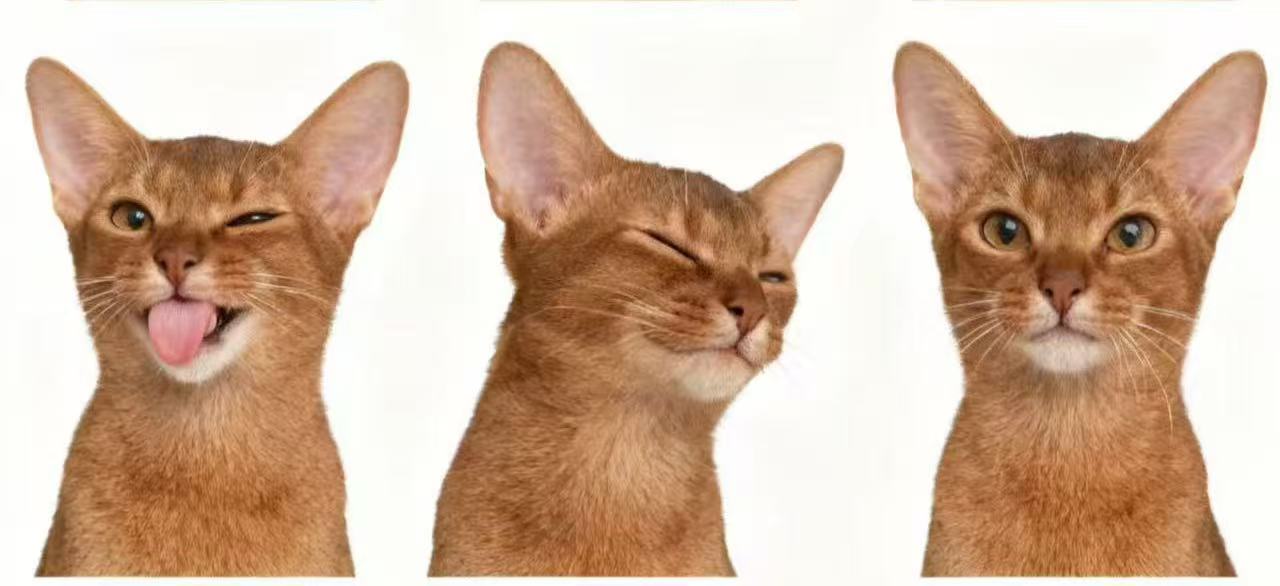 Wink & Smile