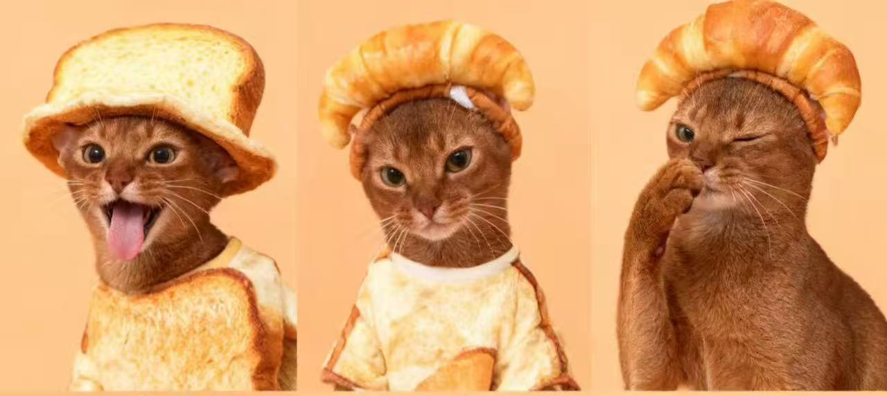 Toast & Croissant