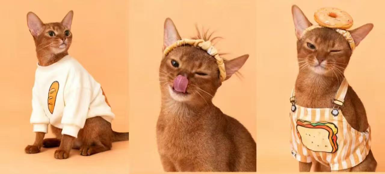 Breakfast Buddies preview image