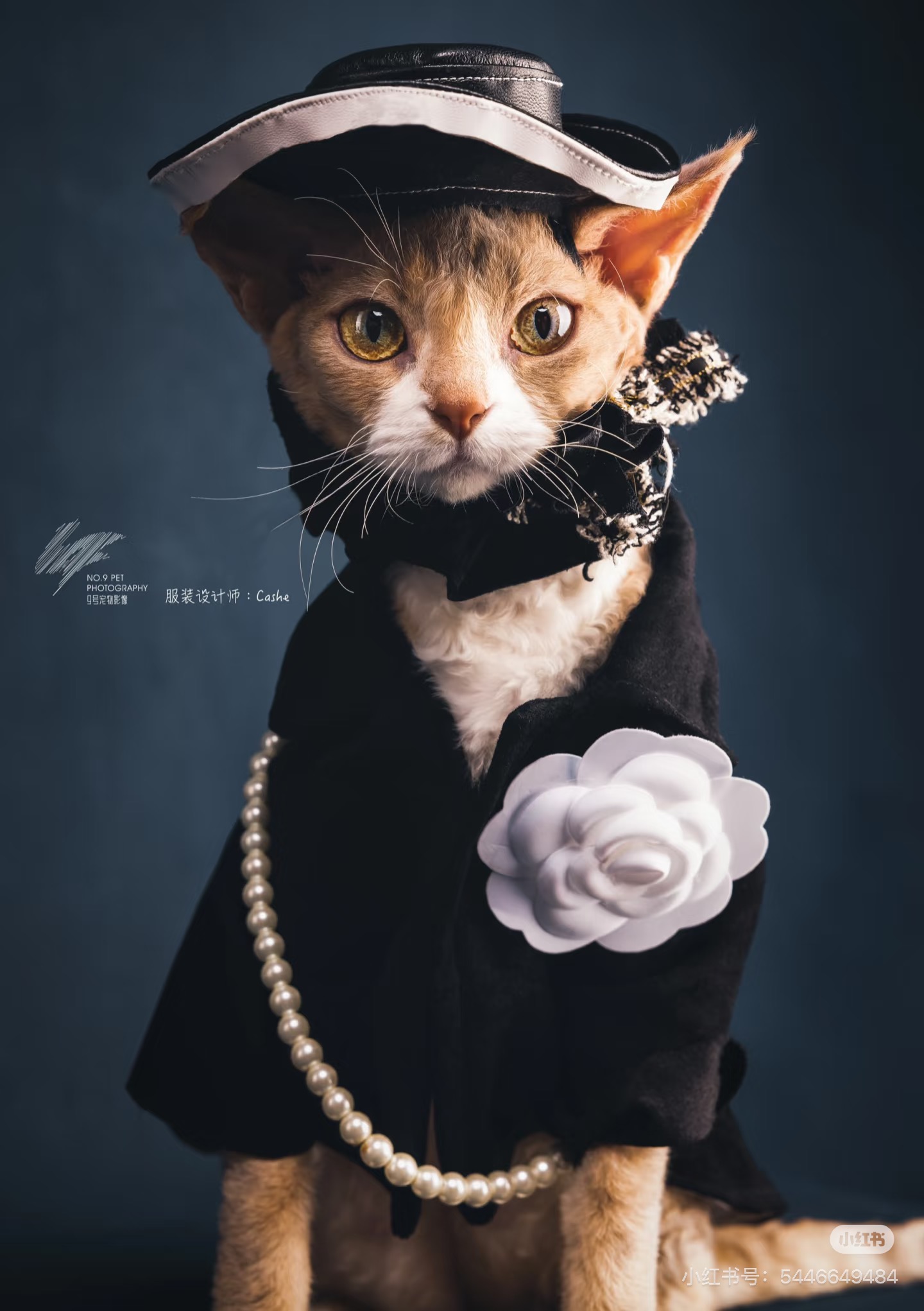 Luxury Editorial Portrait preview image